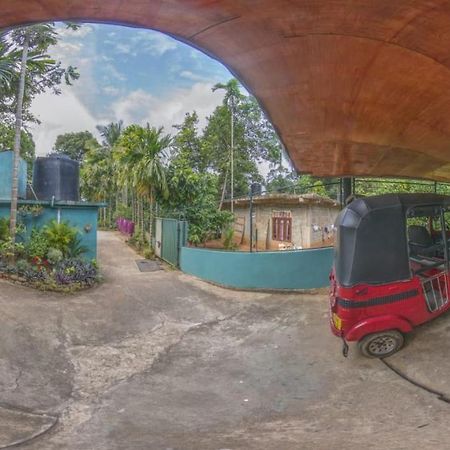 Apple Sara Home Stay كاندي المظهر الخارجي الصورة