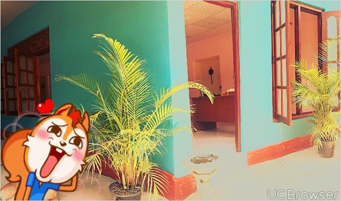 Apple Sara Home Stay كاندي المظهر الخارجي الصورة